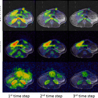 pre-clinical results from pig studies